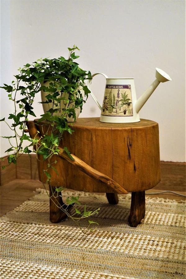 Momo'S Studio Apartment 萨格勒布 外观 照片